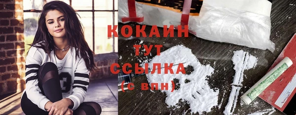 шишки Балахна