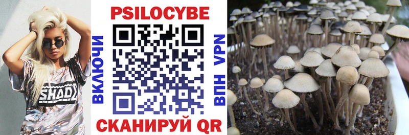 Псилоцибиновые грибы Cubensis Пласт